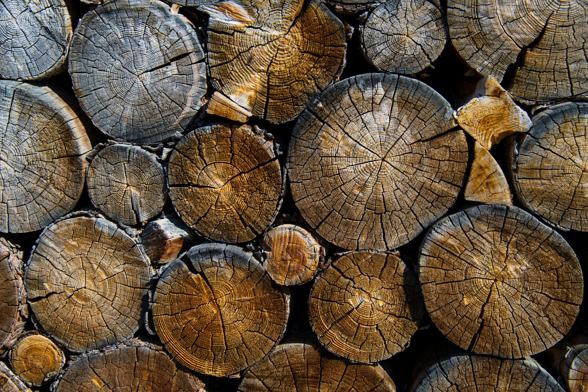 photography of pile of woods