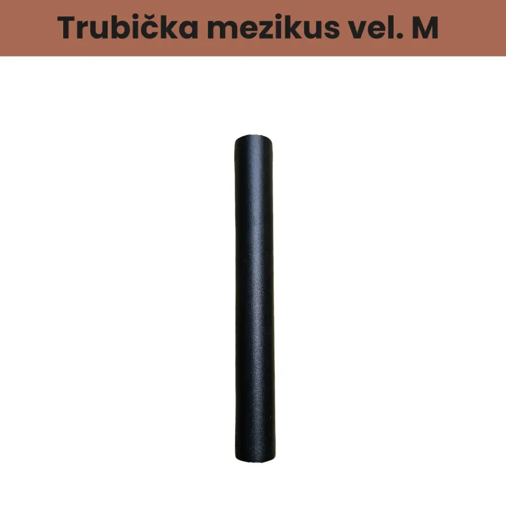 Trubička mezikus